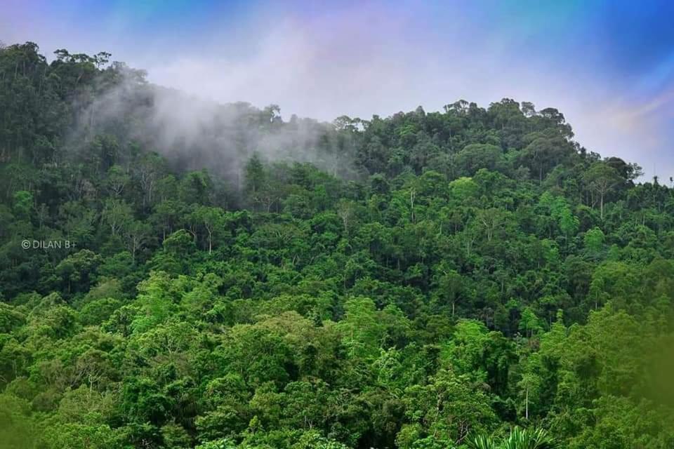 Sinharaja Forest Gate Deniyaya Esterno foto