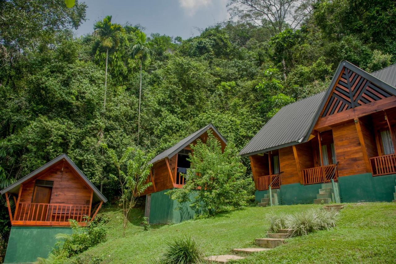 Sinharaja Forest Gate Deniyaya Esterno foto