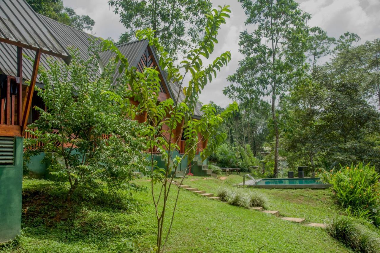 Sinharaja Forest Gate Deniyaya Esterno foto
