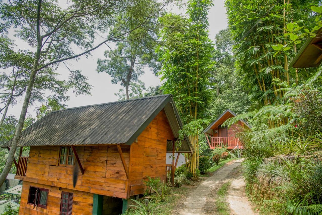 Sinharaja Forest Gate Deniyaya Esterno foto