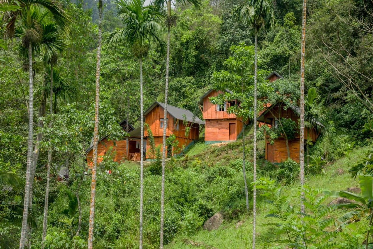 Sinharaja Forest Gate Deniyaya Esterno foto