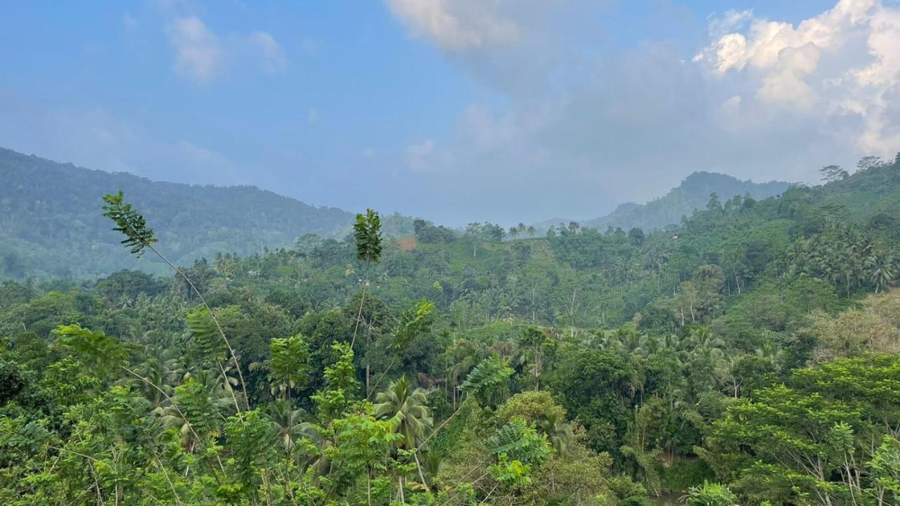 Sinharaja Forest Gate Deniyaya Esterno foto