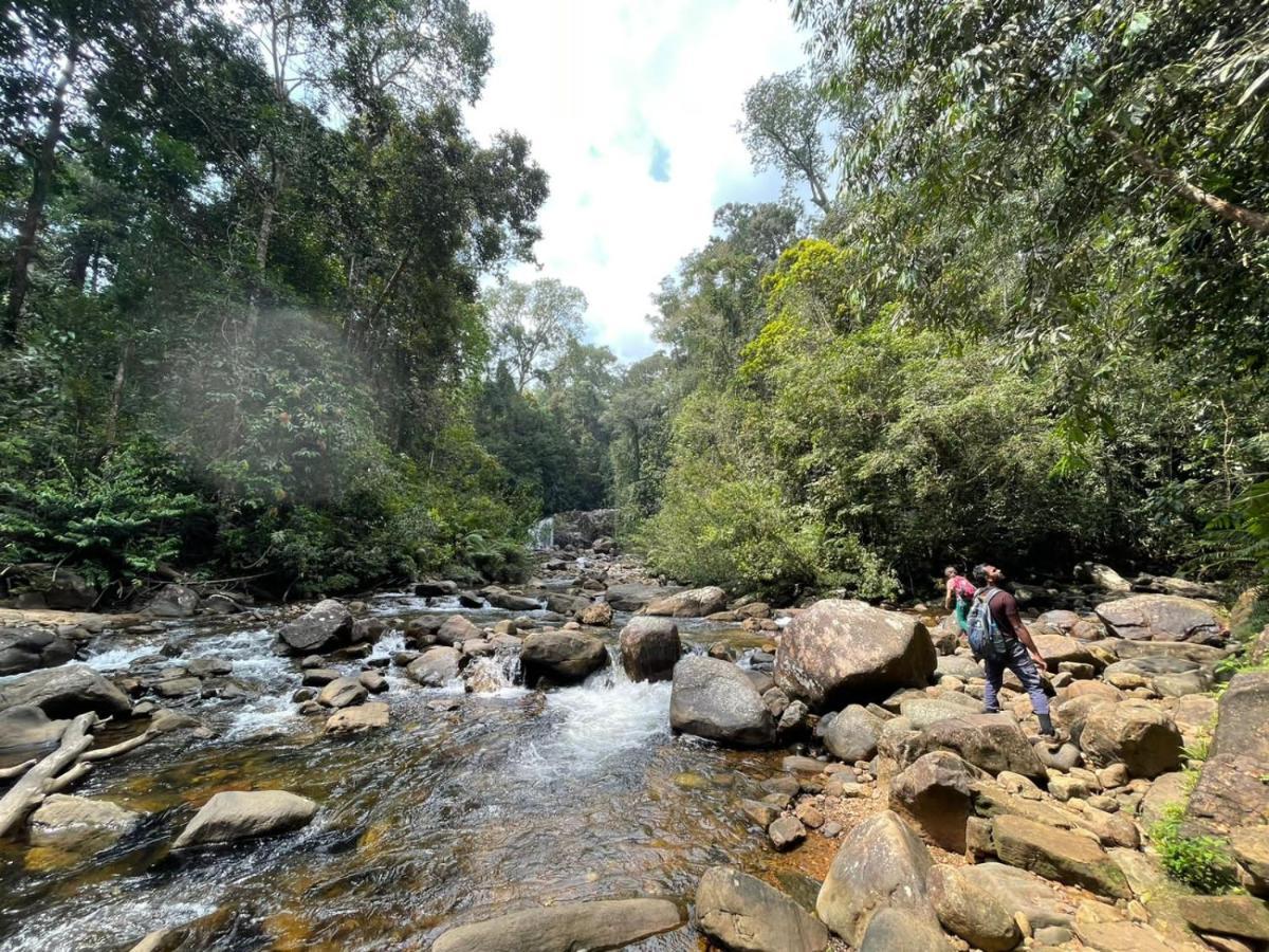 Sinharaja Forest Gate Deniyaya Esterno foto