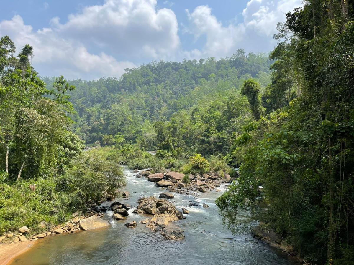 Sinharaja Forest Gate Deniyaya Esterno foto