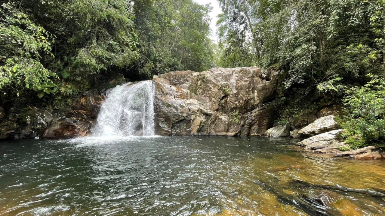 Sinharaja Forest Gate Deniyaya Esterno foto