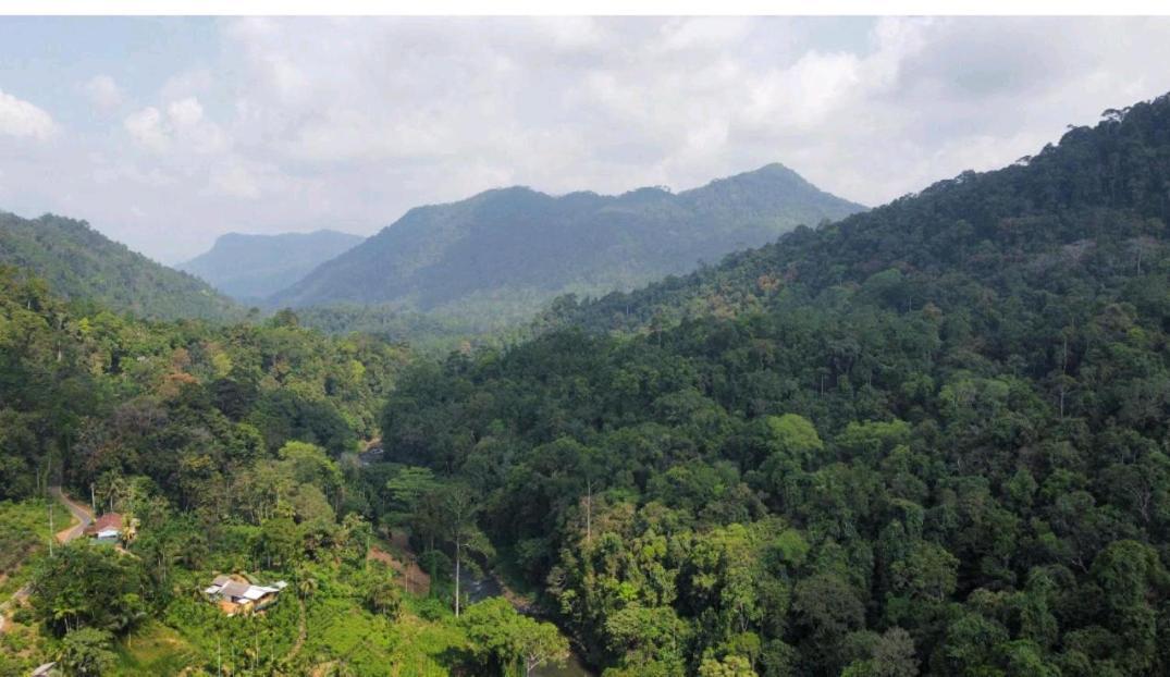 Sinharaja Forest Gate Deniyaya Esterno foto