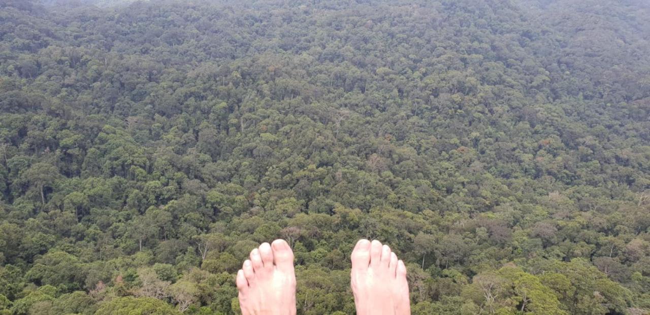 Sinharaja Forest Gate Deniyaya Esterno foto