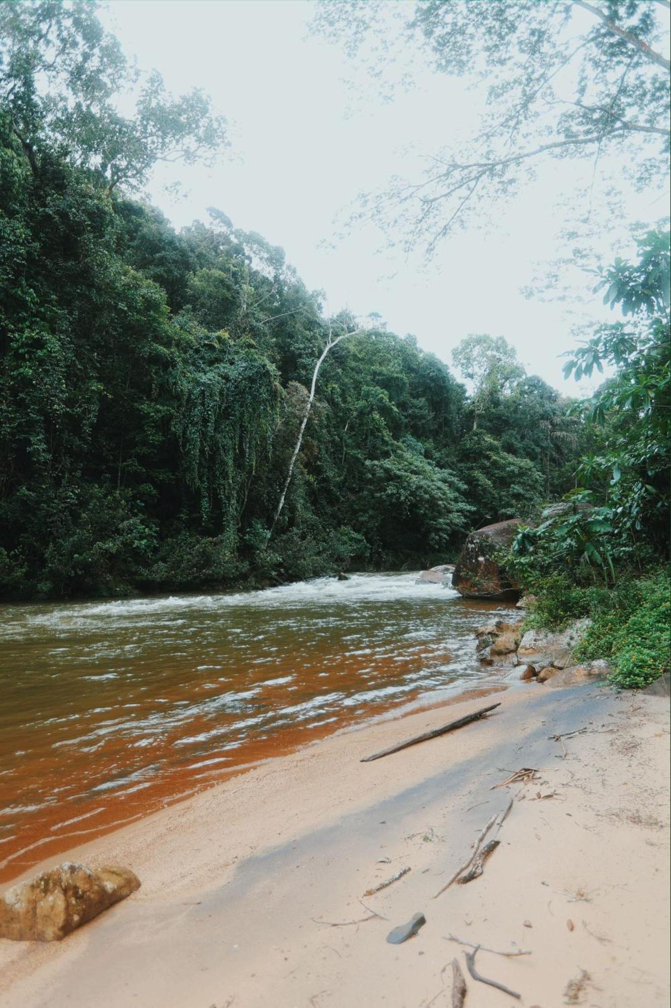 Sinharaja Forest Gate Deniyaya Esterno foto