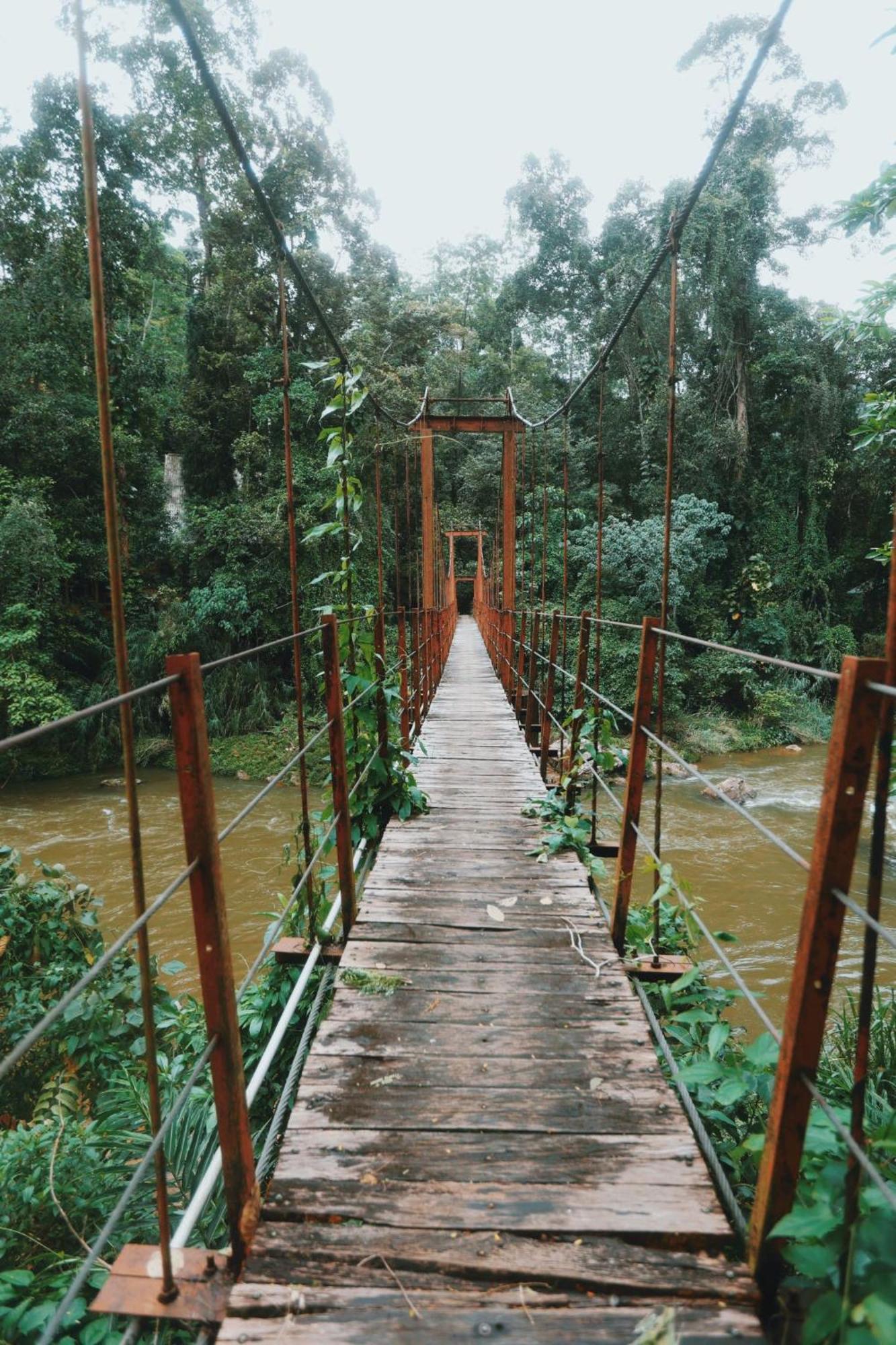 Sinharaja Forest Gate Deniyaya Esterno foto