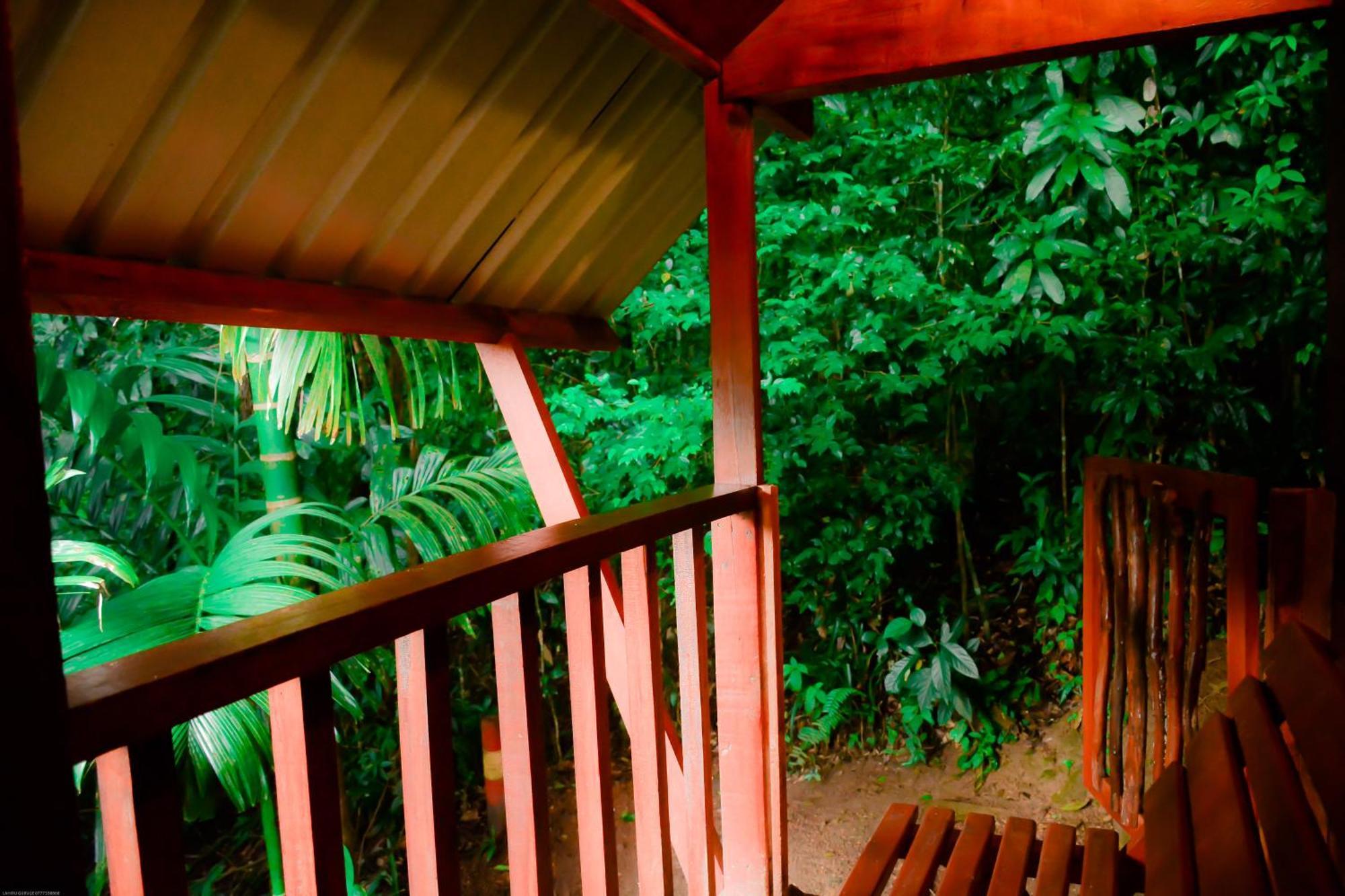 Sinharaja Forest Gate Deniyaya Esterno foto