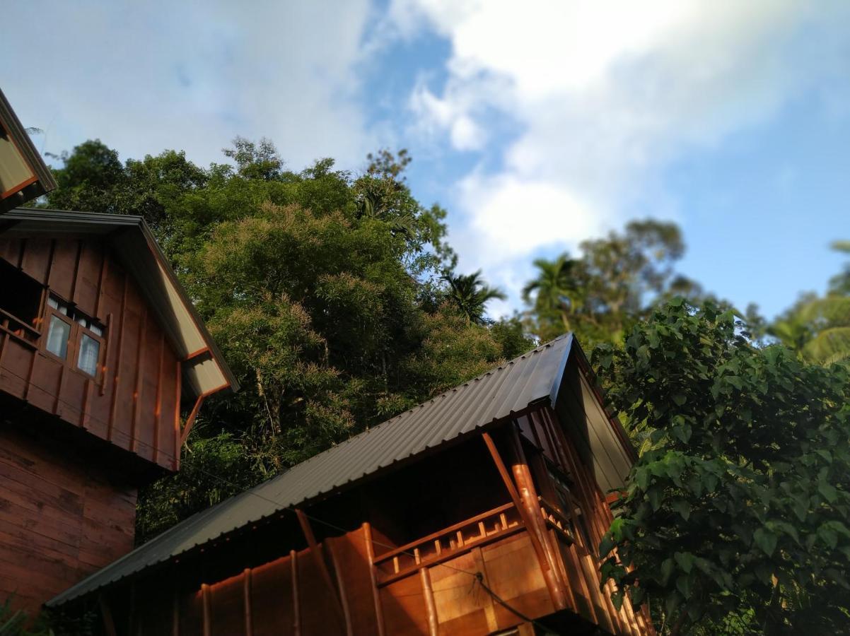 Sinharaja Forest Gate Deniyaya Esterno foto